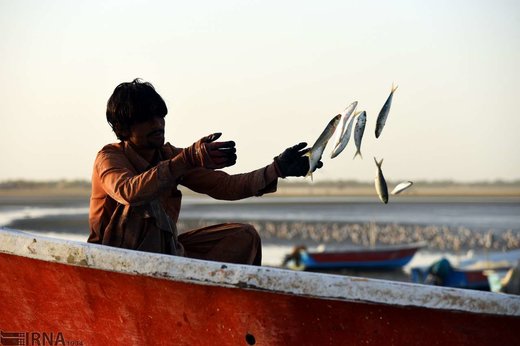 ماهیگیران در خلیج گواتر