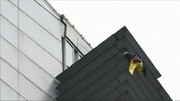 فیلم | مرد عنکبوتی پس از بالا رفتن از برج ۴۷ طبقه بازداشت شد