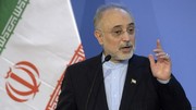صالحی: ساخت راکتور اراک را پیش می‌بریم