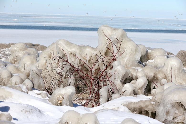 گرداب قطبی در آمریکا