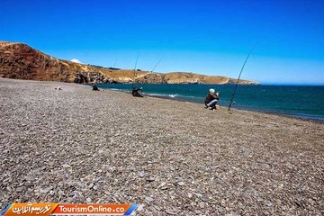 ساحل بردلینگ –نیوزیلند-
