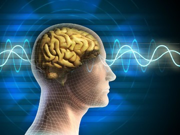 محققان ایرانی موفق به طراحی و ساخت واسط مغز-ماشین شدند
