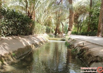 باغ گلشن طبس
