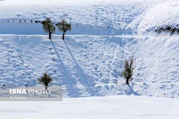  برف یک متری در ارتفاعات گلستان 