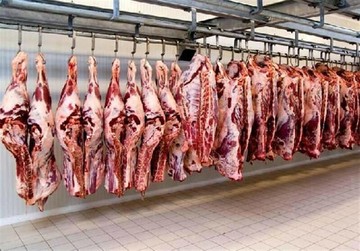 گوشت گوسفند فعلا گران نمی‌شود/ شقه بدون دنبه: کیلویی۸۵ هزار تومان