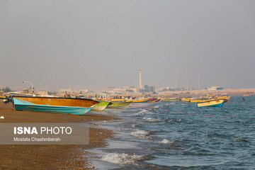 ساحل‌فروشی در قشم؟