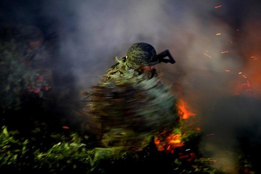 آتش زدن مزرعه کشت غیرقانونی تریاک در نزدیکی Pueblo Viejo مکزیک