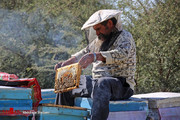 تصاویر | پایتخت عسل ایران در زمستان