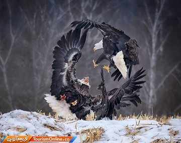 عکس ارسالی به مسابقه عکس سونی