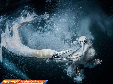 عکس ارسالی به مسابقه عکس سونی