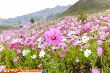 منطقه داوچنگ چین