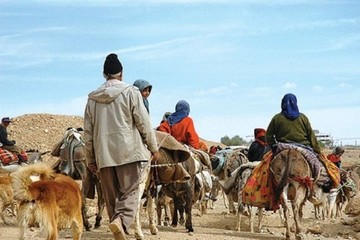 مدیرکل امور عشایری:ارزش تولیدات عشایر ایلام ۴۰۰ میلیارد تومان است