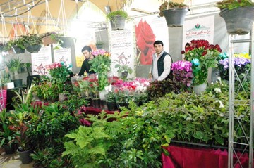آغاز بکار نمایشگاه گل گیاه و صنایع غذایی در یاسوج