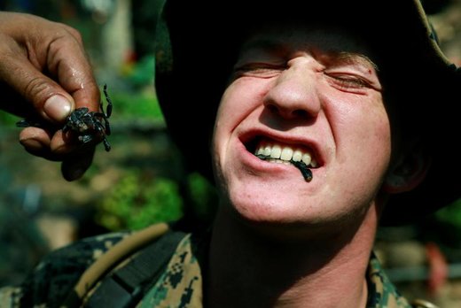 یک سرباز در حال خوردن عقرب در سی و هشتمین دوره تمرینات نظامی کبرای طلایی در تایلند