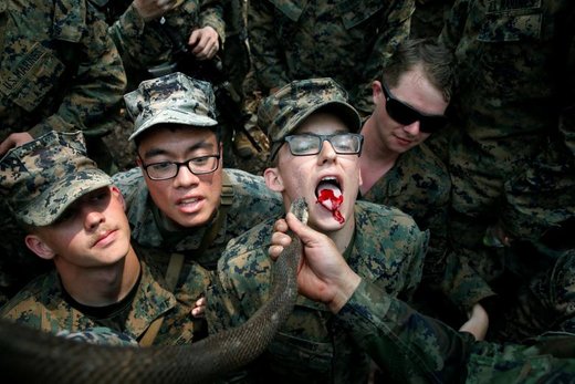 یک سرباز در حال خوردن خون مار در سی و هشتمین دوره تمرینات نظامی کبرای طلایی در تایلند