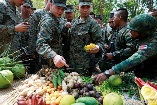 سربازان تایلندی و آمریکایی در سی و هشتمین دوره تمرینات نظامی کبرای طلایی در تایلند میوه می خورند
