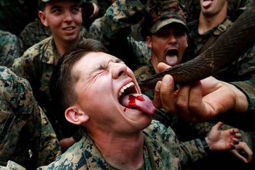یک سرباز در حال خوردن خون مار در عملیات کبرای طلایی در تایلند