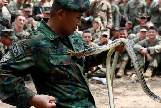 رویارویی یک سرباز با مار در سی و هشتمین دوره تمرینات نظامی کبرای طلایی در تایلند