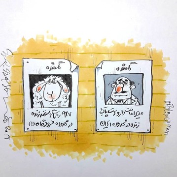 پشت‌پرده گم شدن ۹۲۷ راس گوسفند زنده!