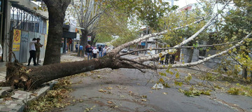 وزش باد شدید و بارش برف و باران برای البرز پیش‌بینی شد