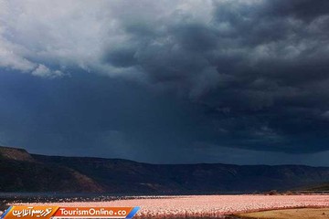 فلامینگوها در دریاچه ناکورو
