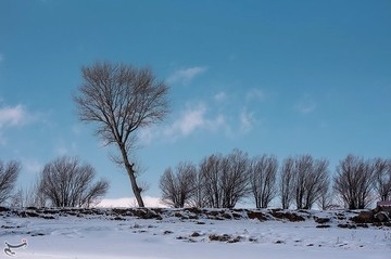 طبیعت برفی آذربایجان شرقی