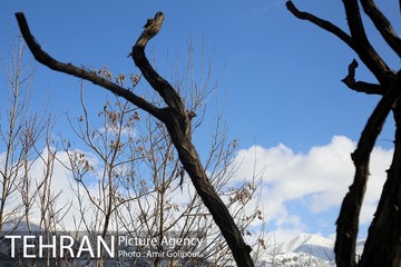 هوای پاک تهران