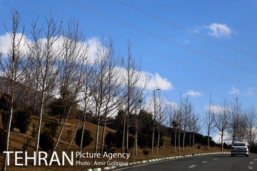 هوای پاک تهران