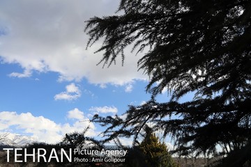 هوای پاک تهران