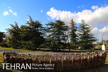 هوای پاک تهران