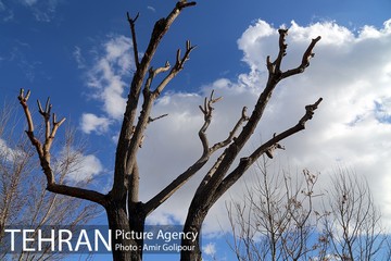 هوای پاک تهران
