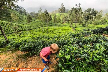 سفر خانواده سه نفره به 24 کشور