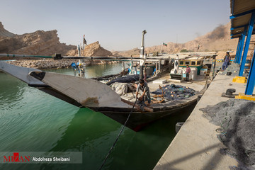 خلیج فارس