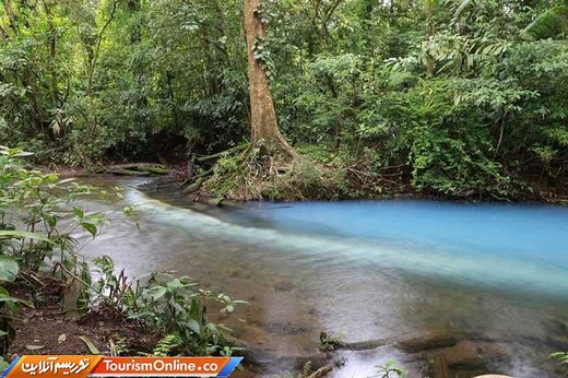 رودخانه سلسته کاستاریکا