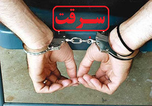 پادکست | سرقت ۲۵ میلیارد تومانی از خانهای در سعادتآباد! پادکست | سرقت ۲۵ میلیارد تومانی از خانهای در سعادتآباد!