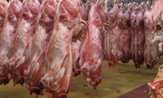 اعطای مجوز واردات گوشت به ۱۲۰ شرکت/ واردات گوشت انحصاری نیست