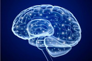 نقش مهم بخش غیرمنتظره‌ای از مغز در یادگیری و حافظه