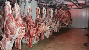 اعطای مجوز واردات گوشت به ۱۲۰ شرکت/ واردات گوشت انحصاری نیست