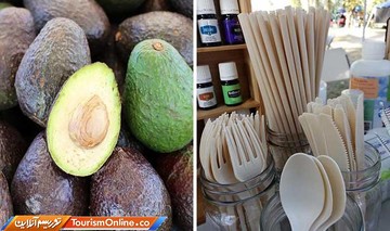 یک شرکت مکزیکی از هسته آواکادو ظروف یکبار مصرف می سازد