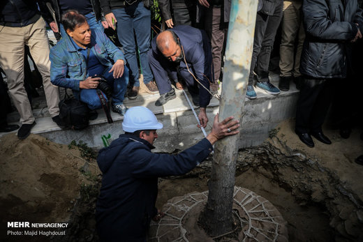 کاشت ۴٠ اصله درخت چنار در تقاطع خیابان شهید بهشتی و خیابان ولیعصر (عج) 