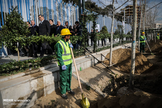 کاشت ۴٠ اصله درخت چنار در تقاطع خیابان شهید بهشتی و خیابان ولیعصر (عج)