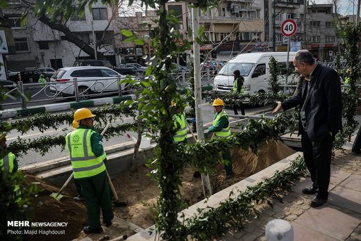 کاشت ۴٠ اصله درخت چنار در تقاطع خیابان شهید بهشتی و خیابان ولیعصر (عج)