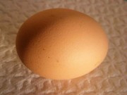 درمان حساسیت به تخم مرغ