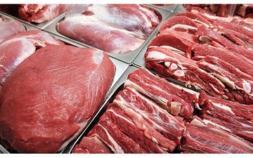کاهش نرخ گوشت با واردات دام سنگین با ارز دولتی