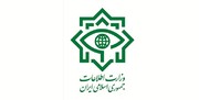 وزارت اطلاعات ۱۹ نفر از عناصر شبکه هرمی در ۳ استان کشور را دستگیر کرد
