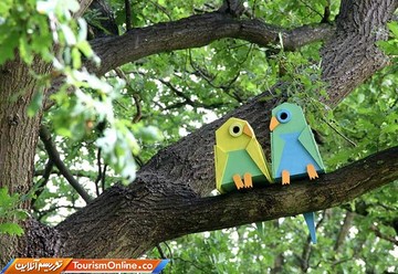 آشیانه های پرندگان در کپنهاگ