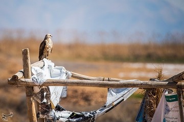 ردپای انسان در طبیعت