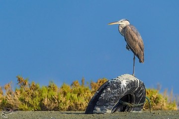 ردپای انسان در طبیعت