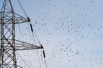ردپای انسان در طبیعت