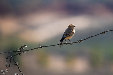 ردپای انسان در طبیعت
